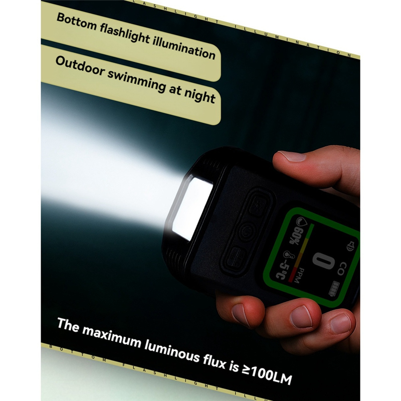 A76X-Carbon Monoxide Detector  - огляд і ціна Co Detector Plug